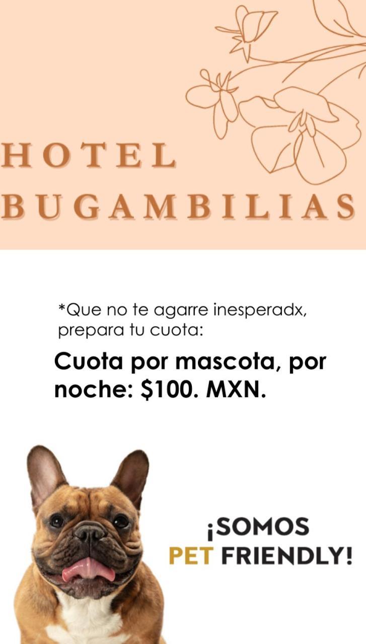 Hotel Bugambilias オアハカ州 エクステリア 写真